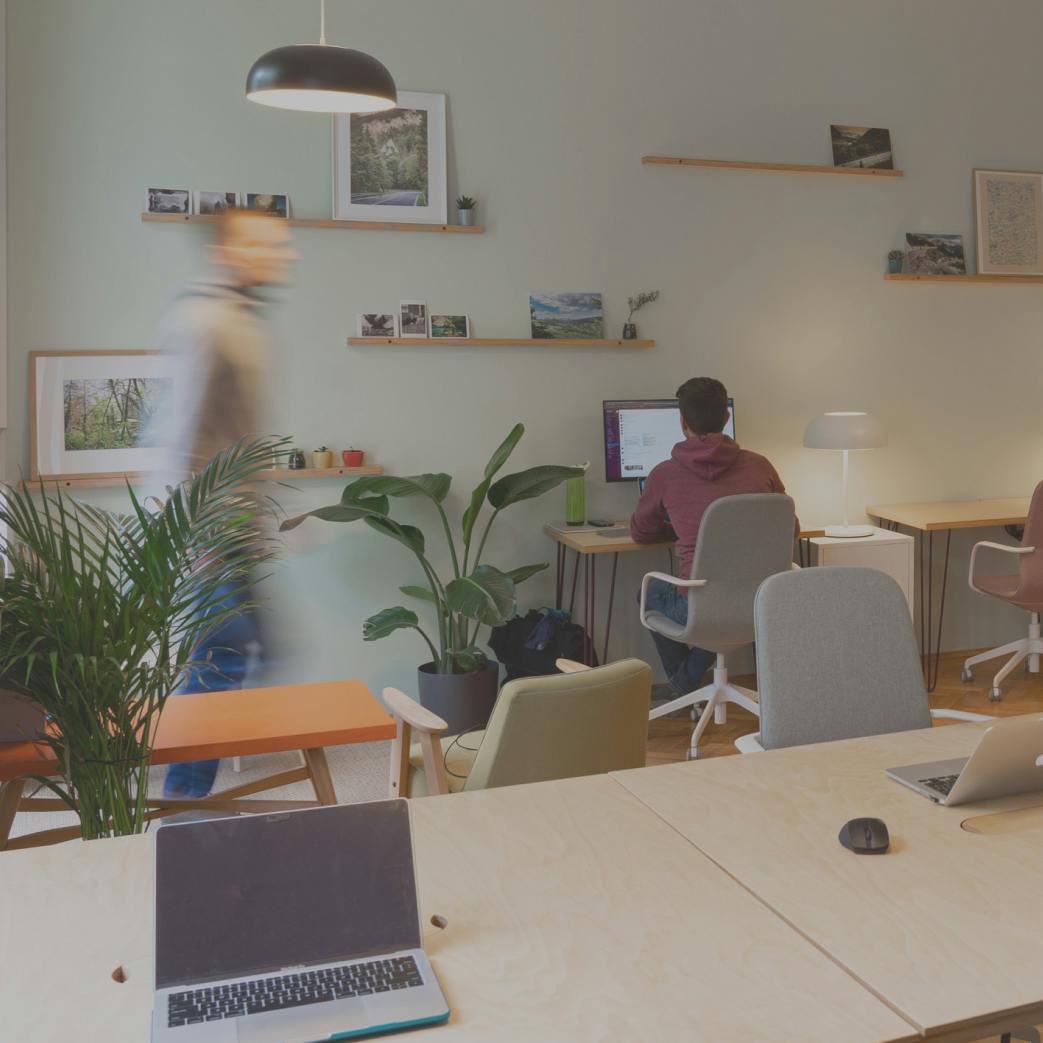 Quality service from established agencies